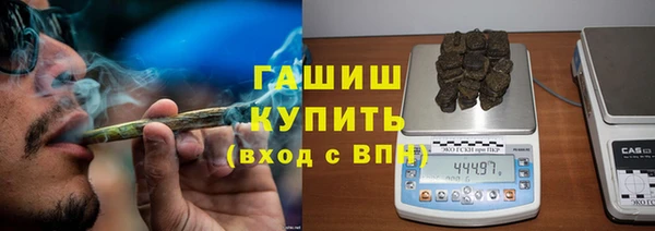 крисы Алзамай