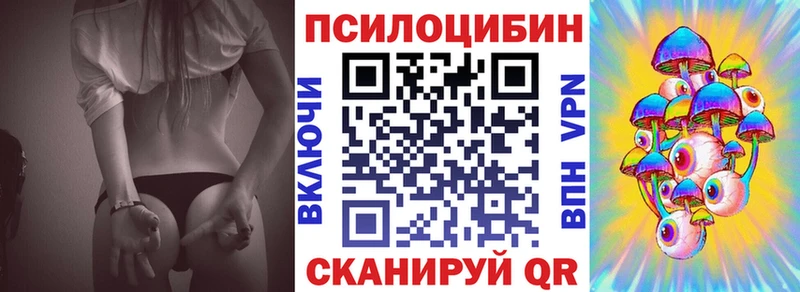 Псилоцибиновые грибы Psilocybine cubensis  Лысьва 